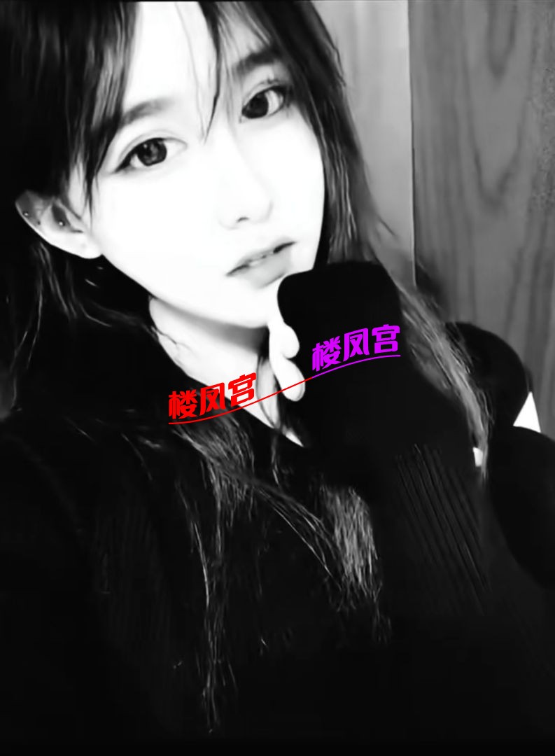 宁波 兔兔