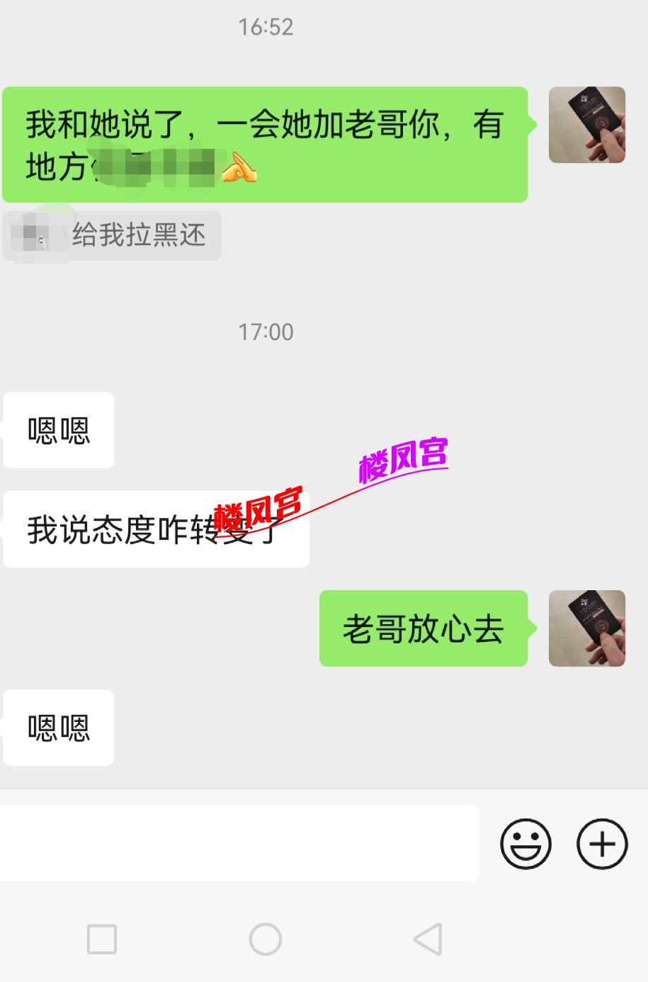 Screenshot_20241106_172736.jpg