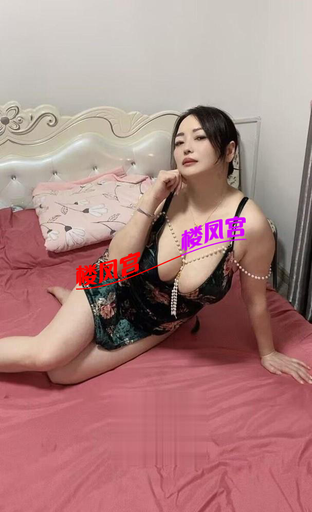 2024112920274081202.png