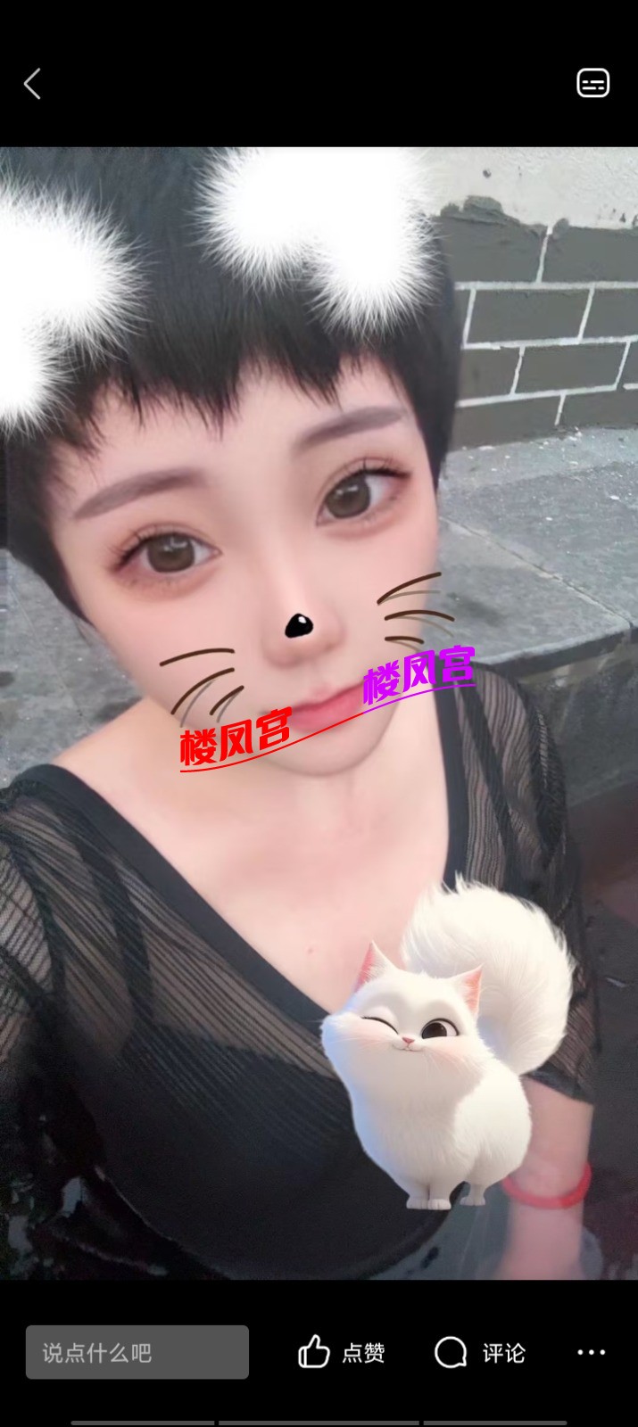 Screenshot_20250618_135804.jpg
