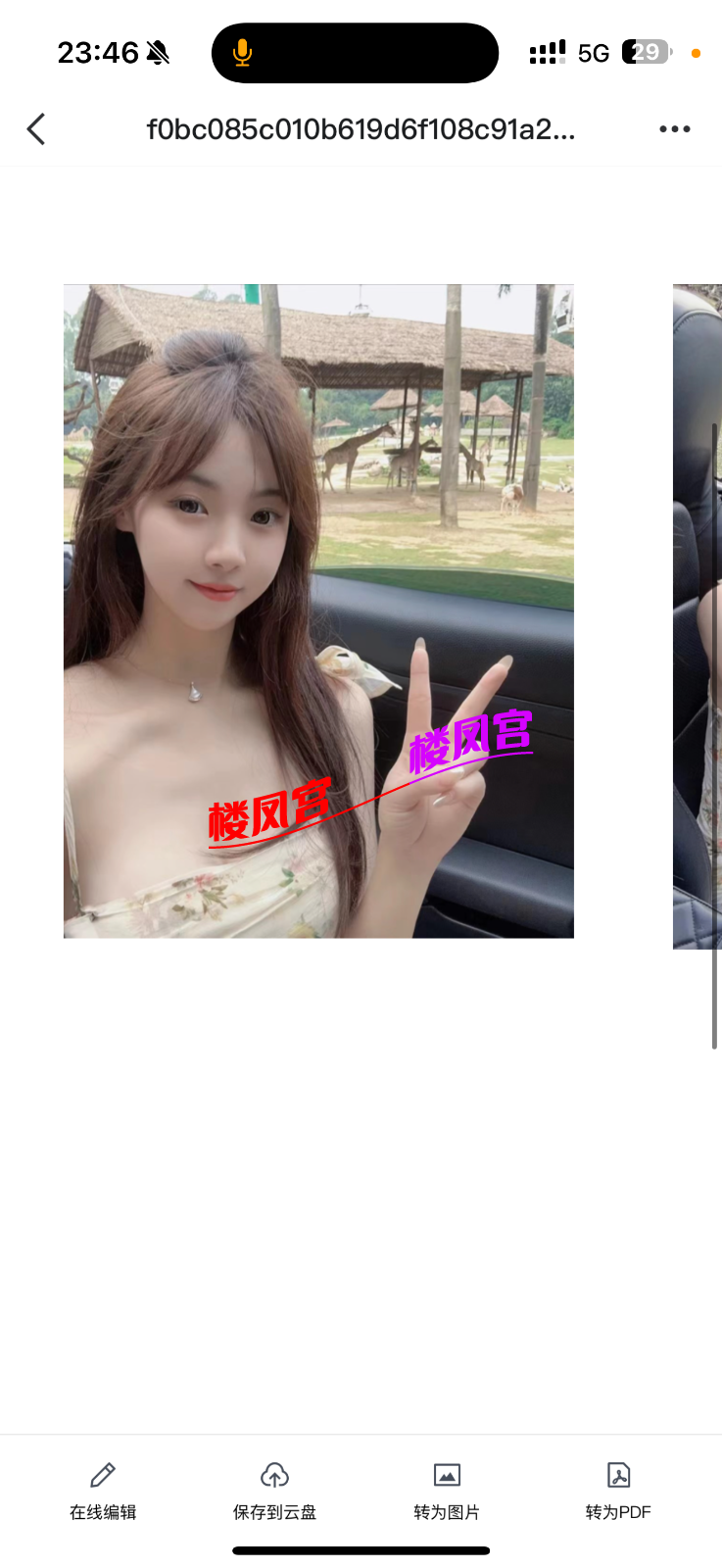 IMG_3761.png